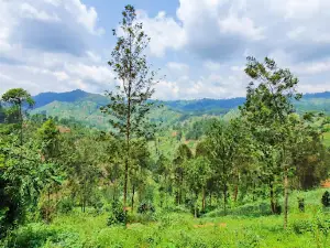 Ludovic K. Kwali Area