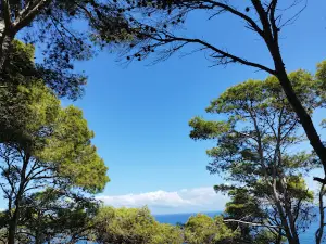 Tipaza Park