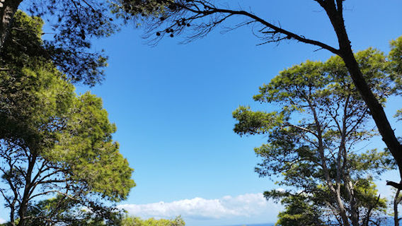 Парк Типаза