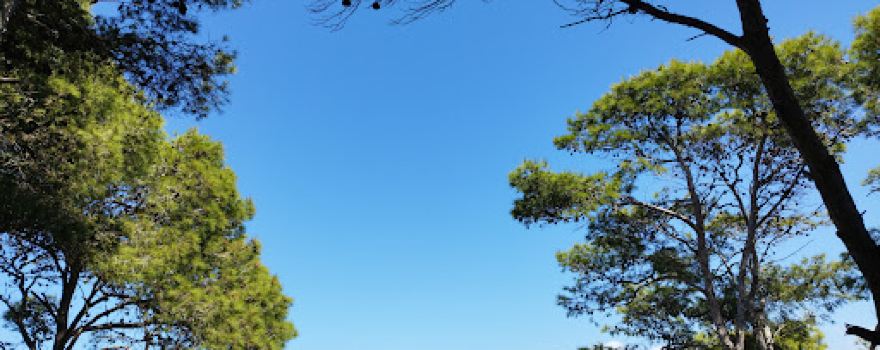 Tipaza Park
