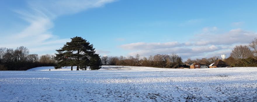 Dukes Meadow