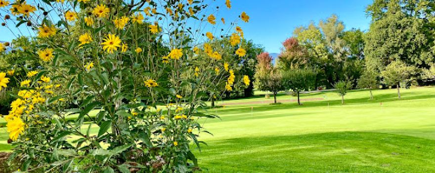 Golf de la Manchette