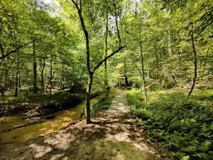 Wahrani Nature Trail