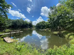 Nature Land Camping & Glamping