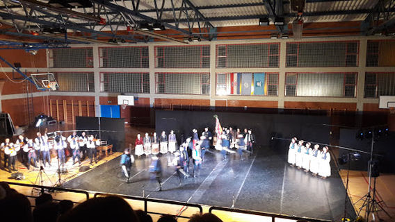 ŠKOLSKA SPORTSKA DVORANA OŠ MOLVE