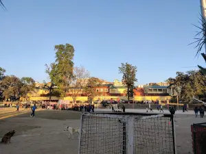 Yoga center