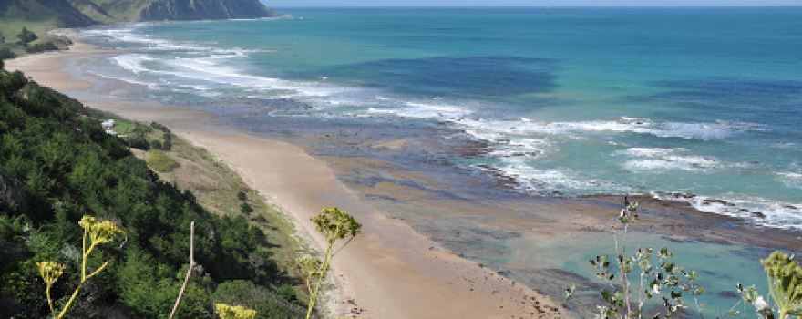 Waihau Bay Beach