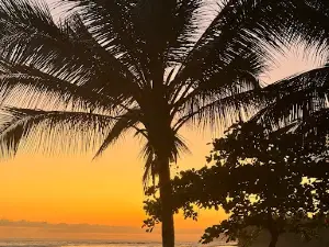 Playa El Estero