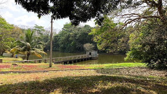 Cocoa Research Institute of Ghana
