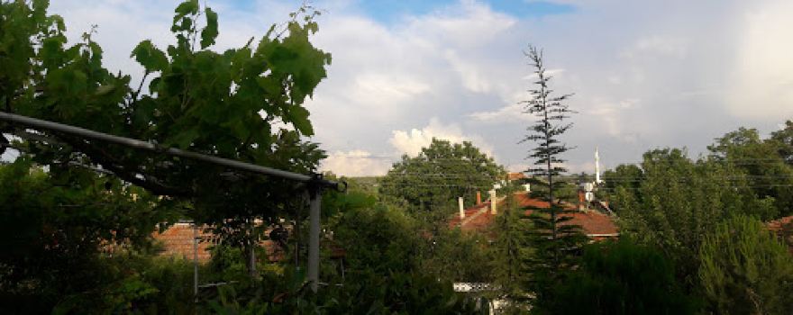 Çocuk Parkı