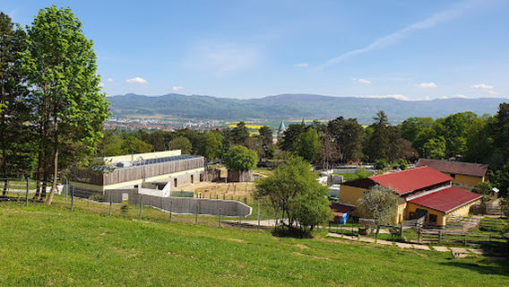 Bojnice