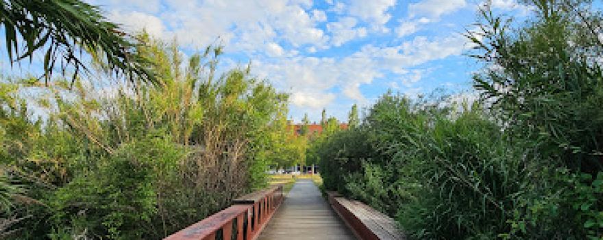 Parc de la Pollancreda