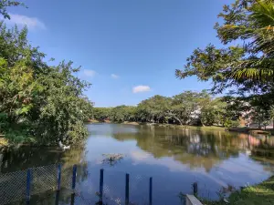 Lago no Jd do Lago