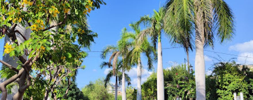 Jbeil Public Park