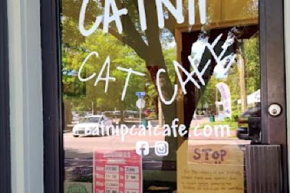 Catnip Cat Cafe