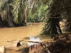 Yala River