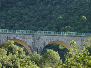 Vélorail Sainte Baume