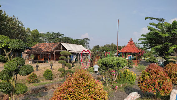 Ringinarum