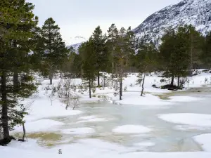 Hovden langrennsstadion
