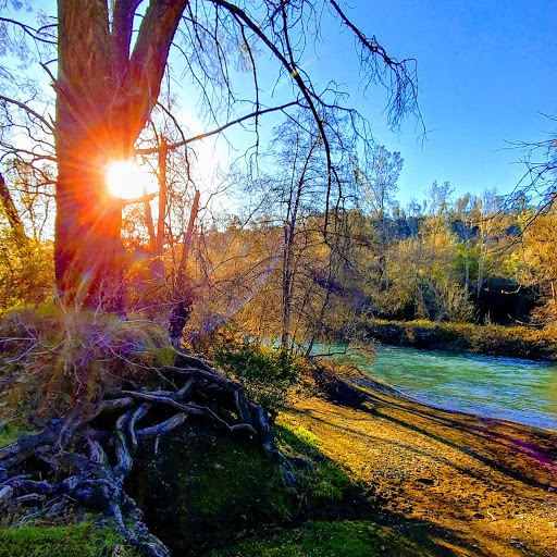 Upper Lake Park | Lake County Parks