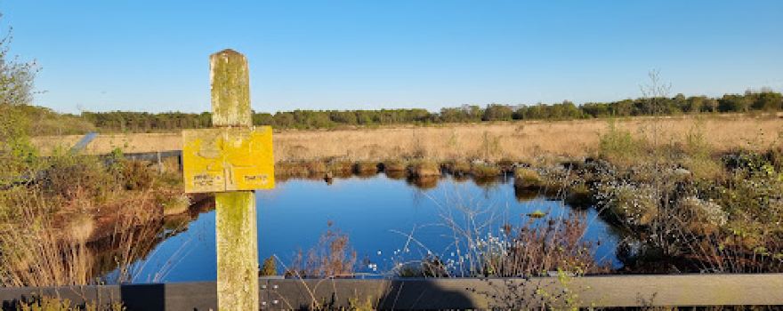 Bettisfield Moss