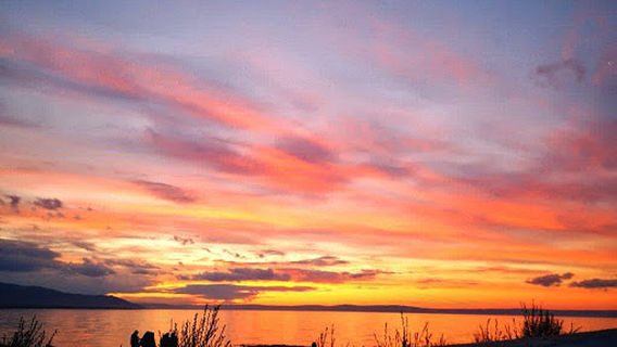 monument strawberries