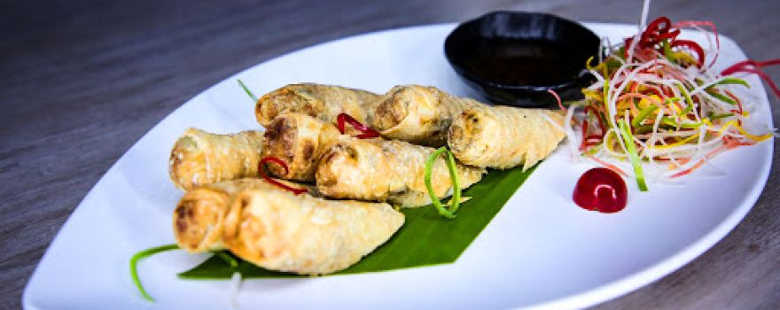 Pyramid Karnal | Microbrewery | Café | Lounge | Bar | Best Nightclub