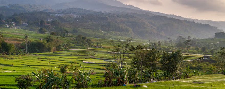 Bukit Keroncong Cicalengka (Pasir Candi)