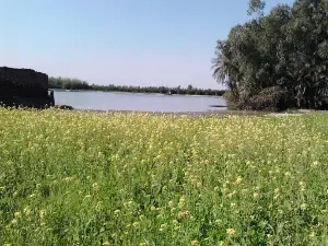 Lalliani