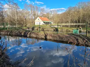 Region Poodří