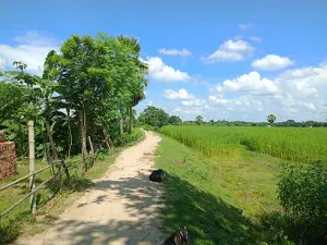 Syed Rawshon Ali jora bottola Gopalpur, Mohammadpur