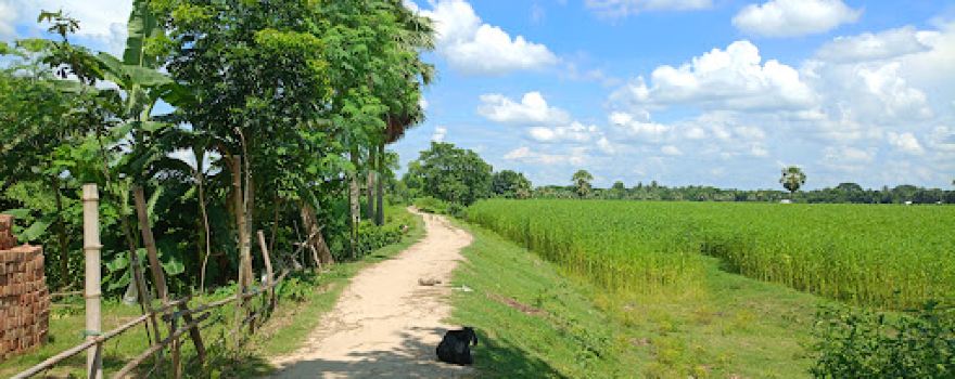 Syed Rawshon Ali jora bottola Gopalpur, Mohammadpur