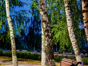 Teatral'nyy Park Im. Chernyshevskogo
