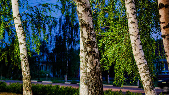 Teatral'nyy Park Im. Chernyshevskogo