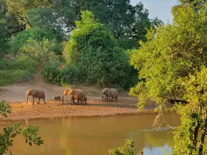 Pafuri Gate, Kruger National Park