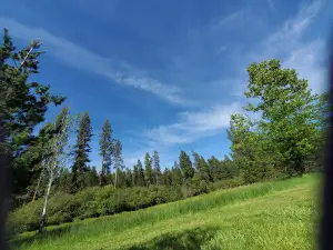 Laird Park Swimming Hole
