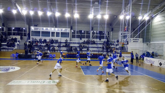 Sala Sporturilor Mediaș