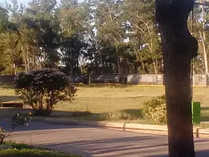 Plaza San Martin