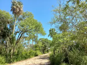Cerrito chaco