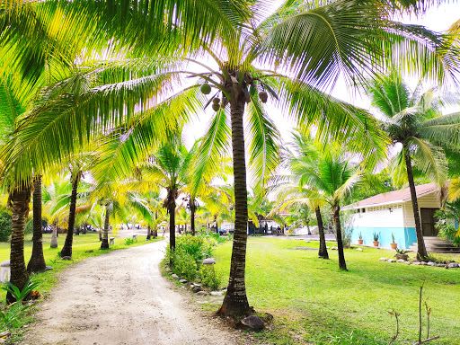 Vé máy bay Cancun Utila