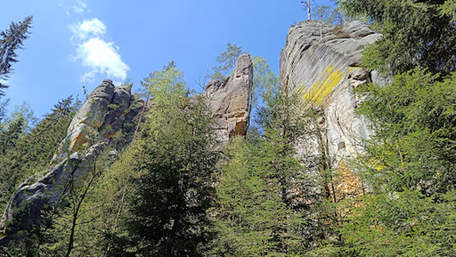 Rašeliniště u Adršpachských skal
