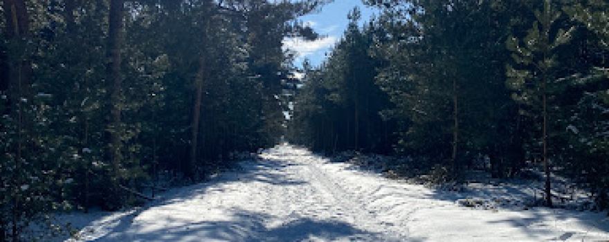 De Lier Natuurkampeerterrein