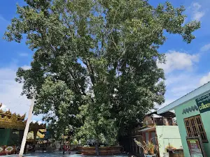 Kaung Hmu Taw Pagoda