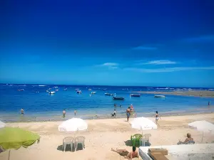 Plage David