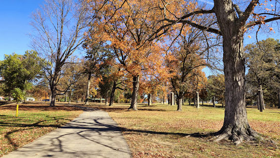 Mt Vernon City Park Office