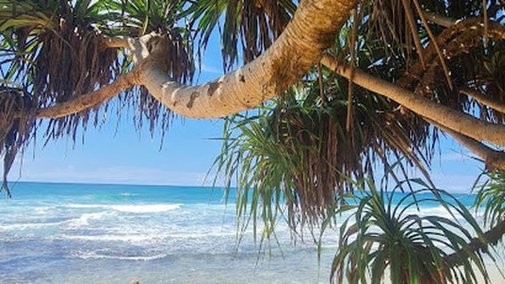 Dream Cabana - Rooms, Restaurant, Rope Swing, swimming beach and free sunbeds