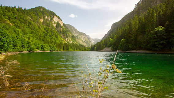 Nedajno
