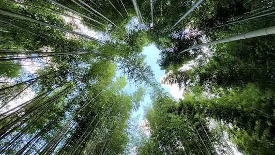 죽녹원후문 매표소