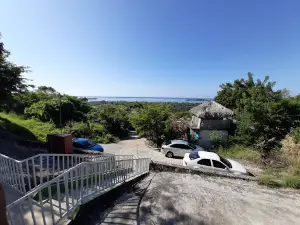 Paradise of Mangroves
