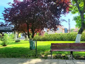 Parcul central "Dr. Andrássy Ernő" - Városi park